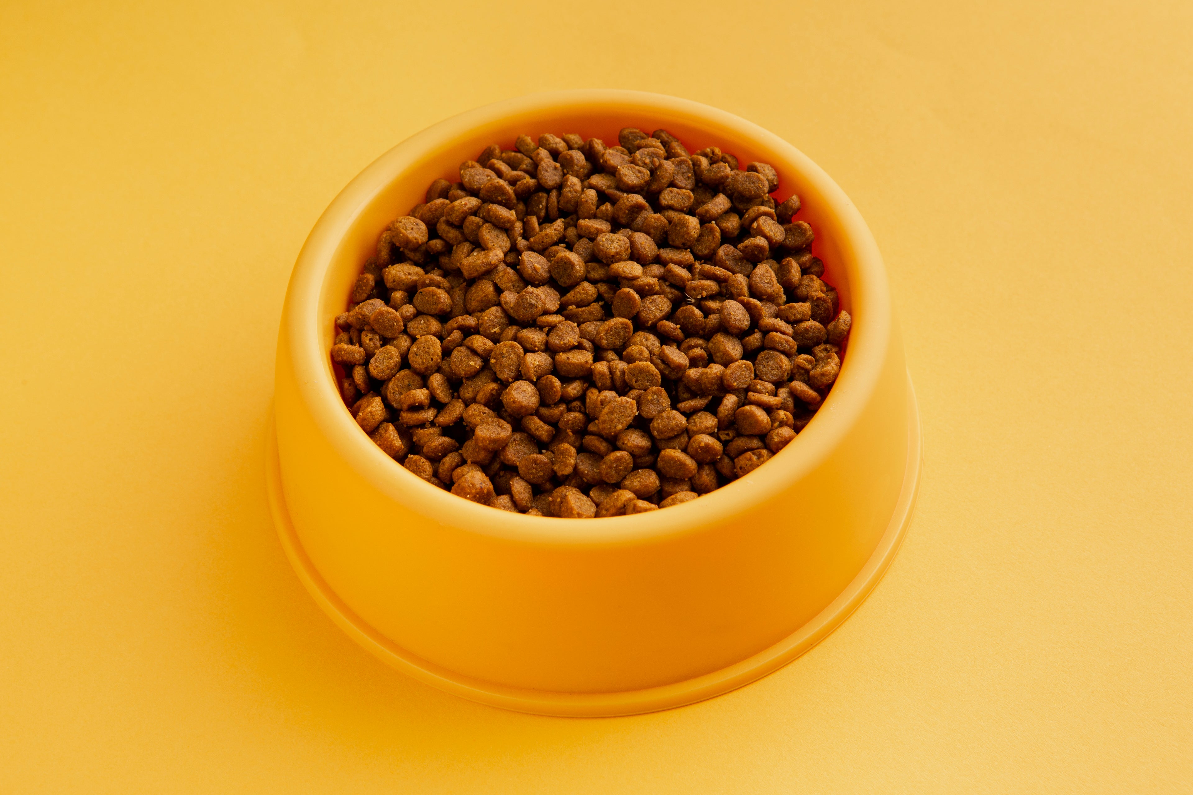 Cat-food